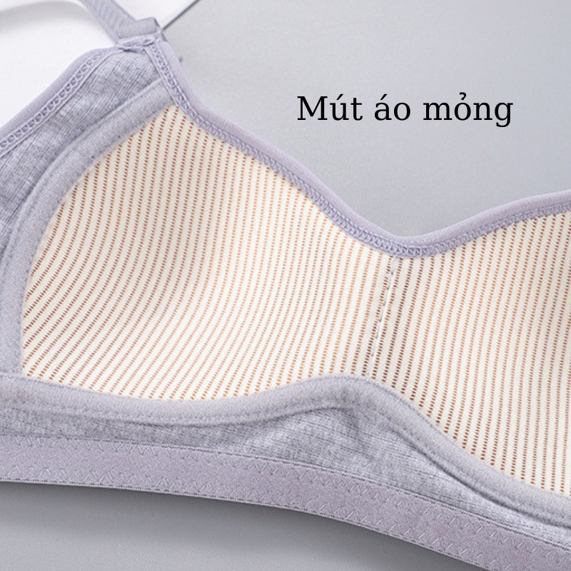 Áo ngực nữ mút mỏng không gọng HLBOUTIQUE, chất cotton gân kẻ sọc mềm mịn, 3 nấc cài mặc thoải mái A414