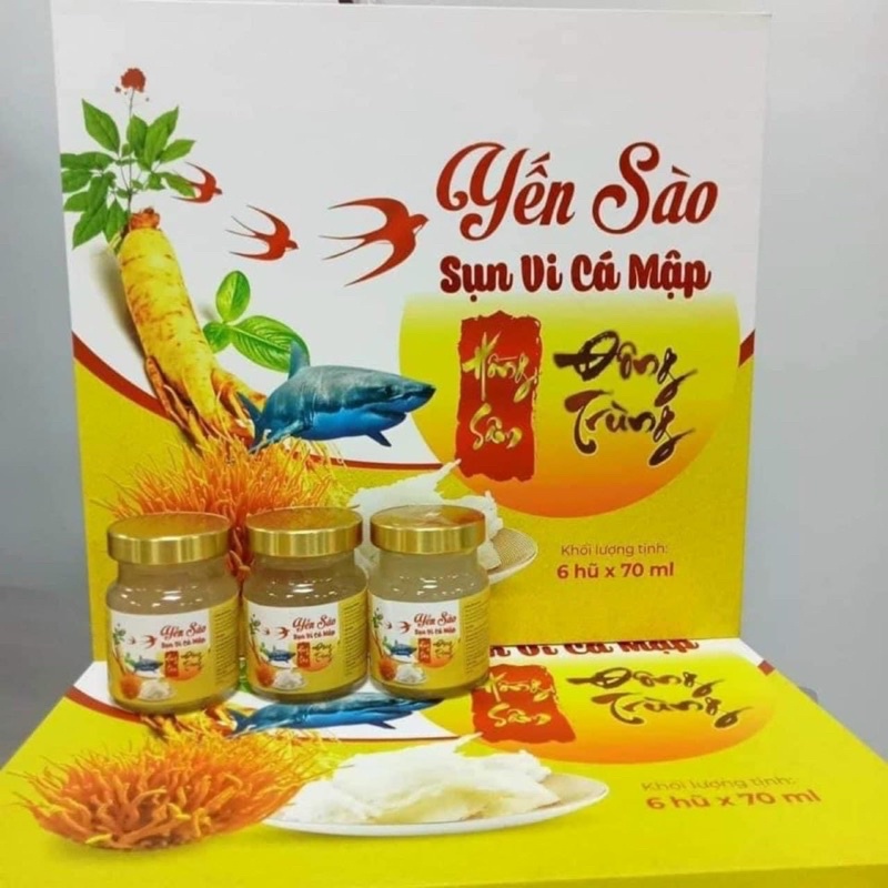 Yến Sào Sụn Vi Cá Mập sách 6 hũ làm quà biếu đẹp kèm túi