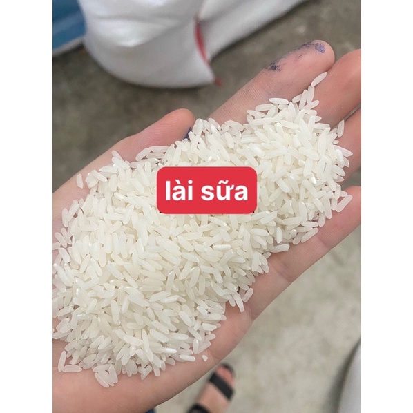 Gạo Lài Sữa dẻo dai thơm cơm