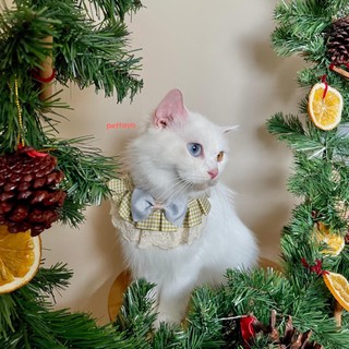 Vòng nơ cổ nhiều màu cho chó / mèo