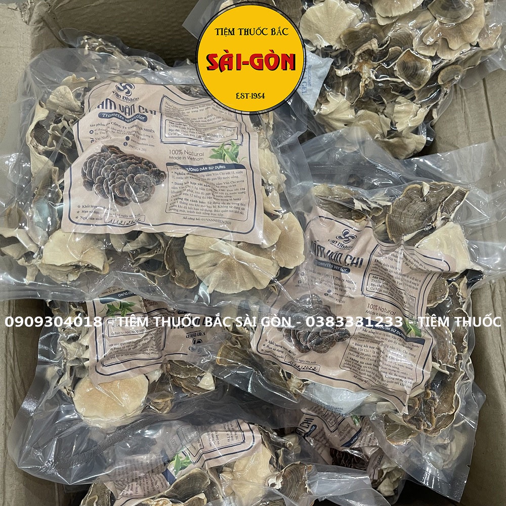 Nấm Vân Chi Hữu Cơ Sấy Khô 200gram (Tặng Kèm Kỉ tử, Táo đỏ) Hộp Quà Biếu Sang Trọng