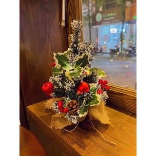Cây thông Noel nhỏ (kèm đèn)