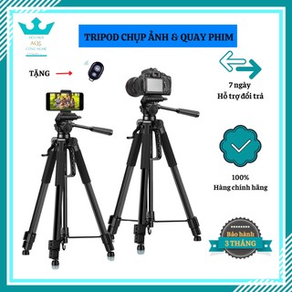 Tripod Điện Thoại Máy Ảnh Chụp Ảnh Quay Video Chuyên Nghiệp - Giá Đỡ Điện Thoại 3 Chân Chắc Chắn - Mang Đi Du Lịch