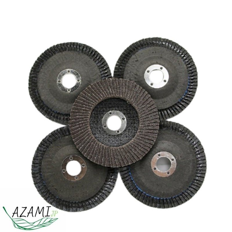 Đĩa Nhám Xếp 100mm, Đá Ráp Xếp Nắp Sắt Dùng Cho Máy Mài Cầm Tay Chất Lượng Giá Tốt