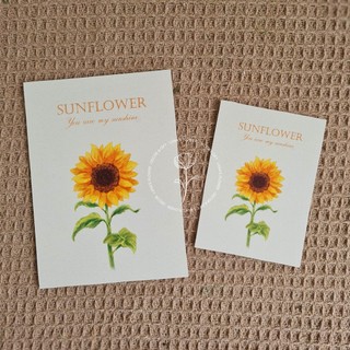 Thiệp Hoa Màu Nước (Watercolor Flower) - Bộ 6 màu