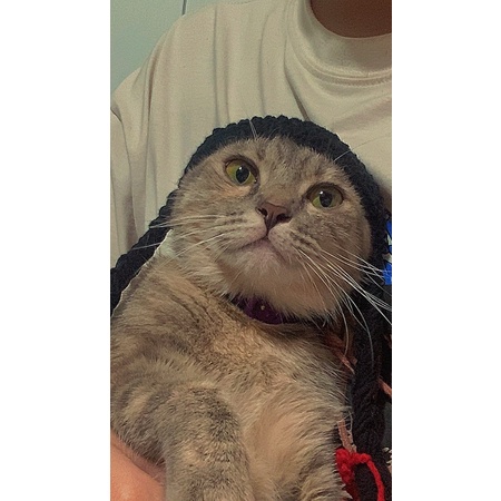 Nón len cho hamster, sóc, bọ, thỏ,mèo v.v...