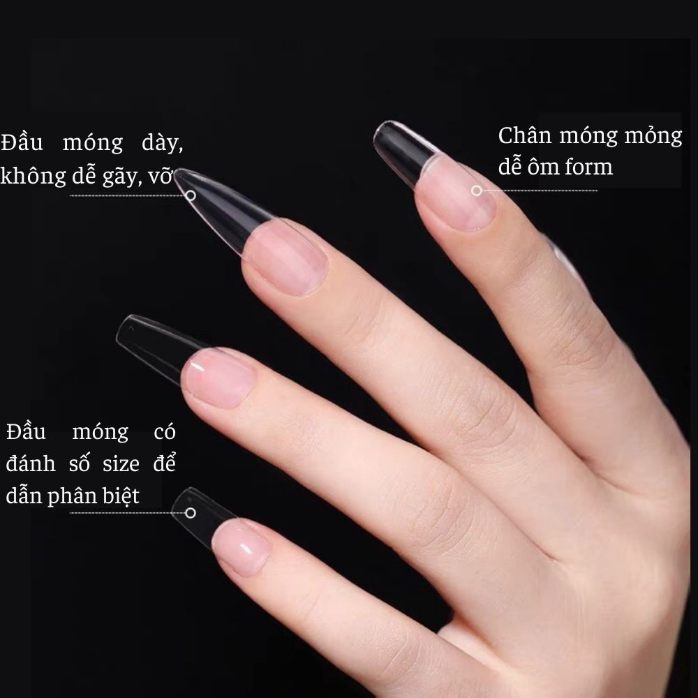 Móng úp tay nhám JELIVA B hộp 500 móng