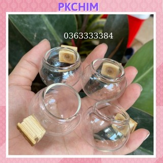 Cóng ăn thủy tinh chim chòe đất tai tre Pkchim phụ kiện chim cảnh