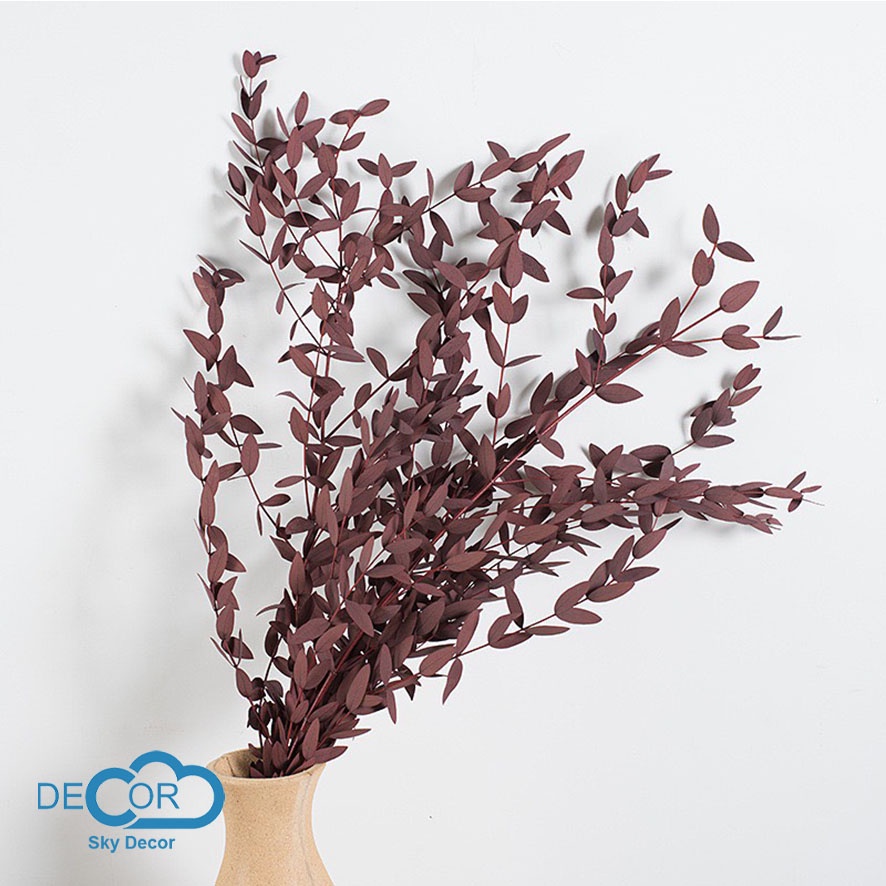 Lá vân nam Sky Decor - Hoa lá trang trí, decor nhà cửa, phụ kiện chụp ảnh sản phẩm