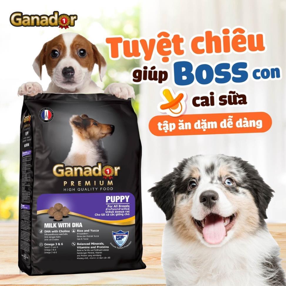 Thức Ăn Hạt Khô Ganador FIB'S Đồ Ăn Cho Chó Con, Chó Lớn 400g Cám Ơn Sen