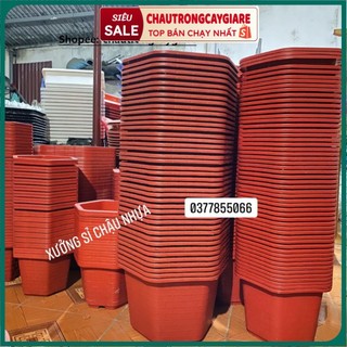 Chậu trồng hoa hồng cây cảnh trồng rau, Chậu nhựa trồng cây treo ban công trong nhà rộng 25-35cm giá rẻ hàng loại 1