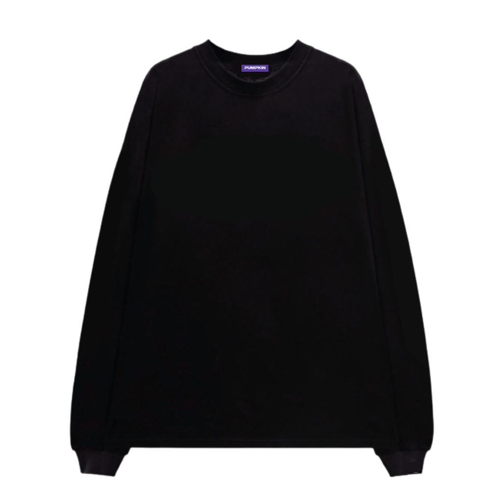 Áo sweater trơn unisex PUMPKIN nỉ chân cua form rộng basic oversize dành cho nam nữ phong cách Local Brand