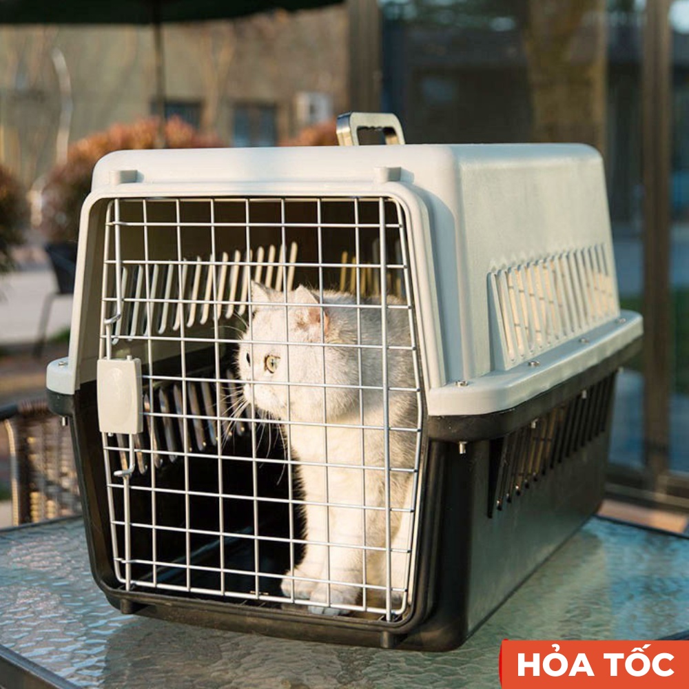 Lồng hàng không chó mèo tặng kèm tấm lót, Lồng vận chuyển chó mèo đi xa, chất liệu nhựa tốt