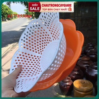 Bộ thau rổ đựng hoa quả, rau hình bông hoa mai kích thước 30*15cm (có tách riêng rổ để dóc nước) tiện lợi cho gia đình