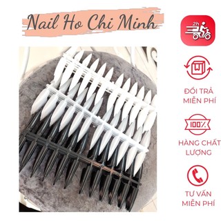 Set mẫu móng from nhọn (10 vĩ-240 móng)