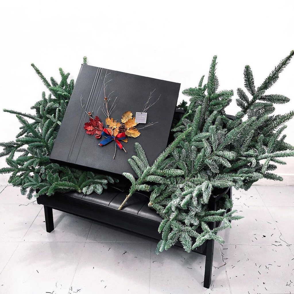 SHIP TỈNH - Cành thông tươi Nobilis nhập khẩu Đan Mạch - Thông trang trí giáng sinh, làm vòng nguyệt quế, làm cây thông