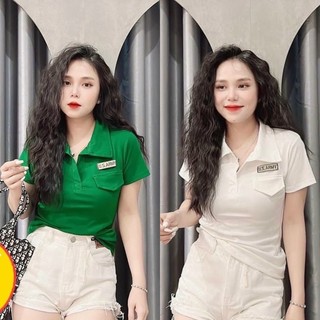 Aó thun cổ bẻ ❤️áo cổ trụ chất vải borip