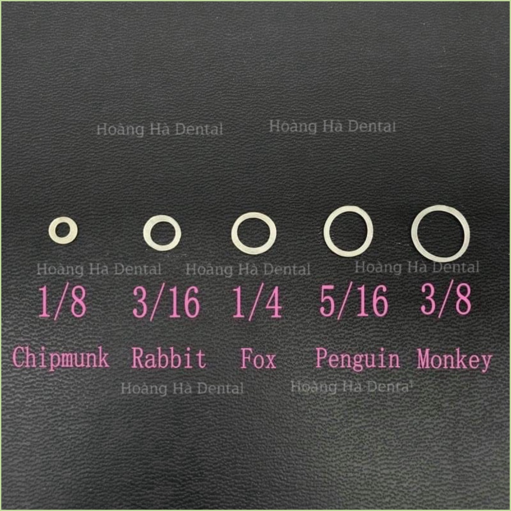 100 chun liên hàm chỉnh nha Chun kéo facemask Chun Kéo niềng răng lực 3.5oz 4.5oz 6.5oz - NHA KHOA HÀ NỘI