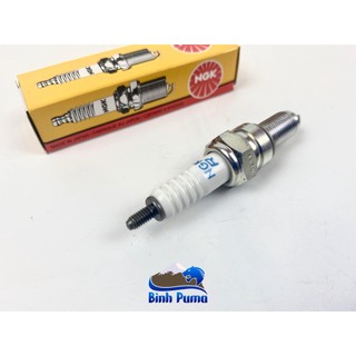 Bugi NGK chân dài cho Future 125