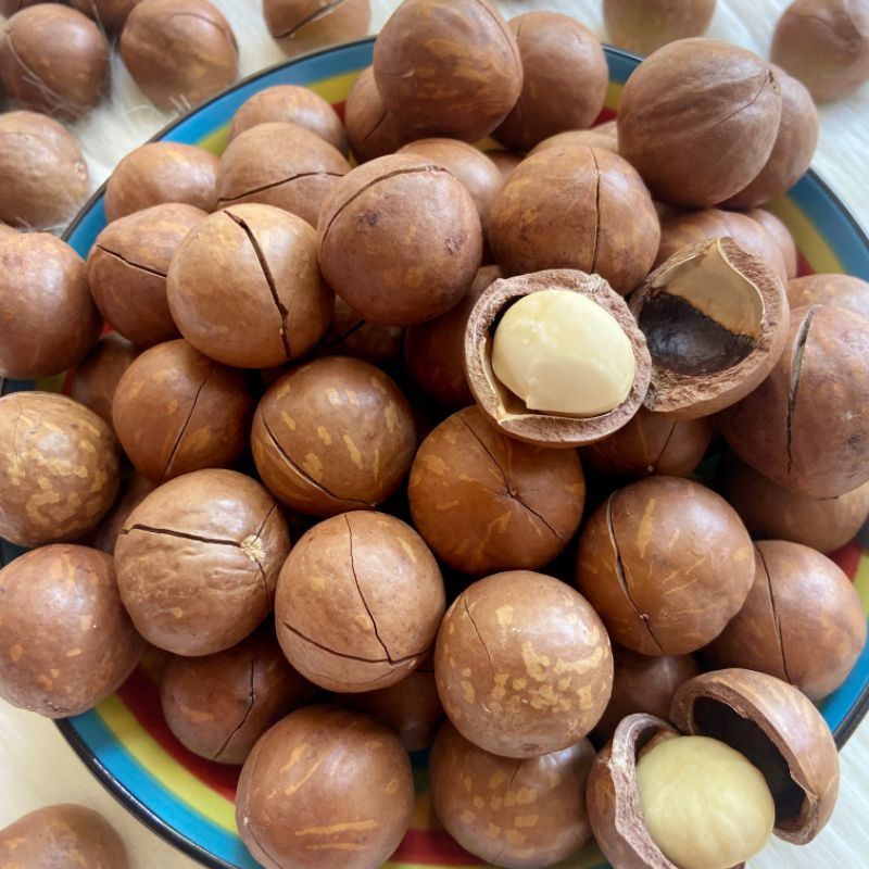 500 GRAM  HẠT MACCA