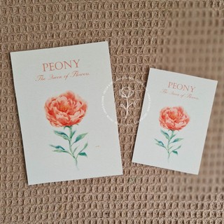 Thiệp Hoa Màu Nước (Watercolor Flower) - Bộ 6 màu