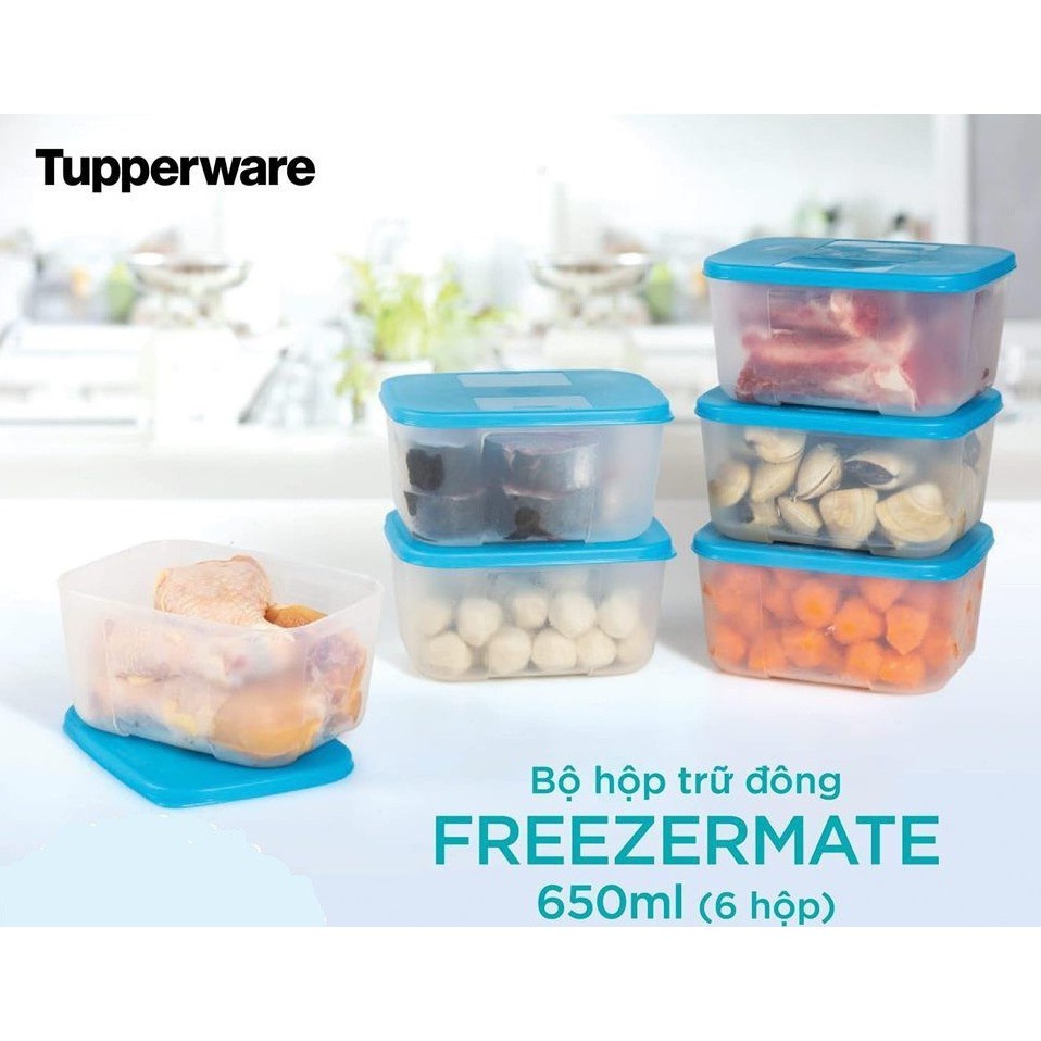Bộ Hộp Trữ Đông Tupperware Freezermate 650ml  nhựa nguyên sinh