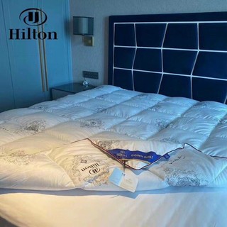 Ruột chăn bông hilton cao cấp siêu nhẹ siêu ấm,ruột chăn đông lông vũ