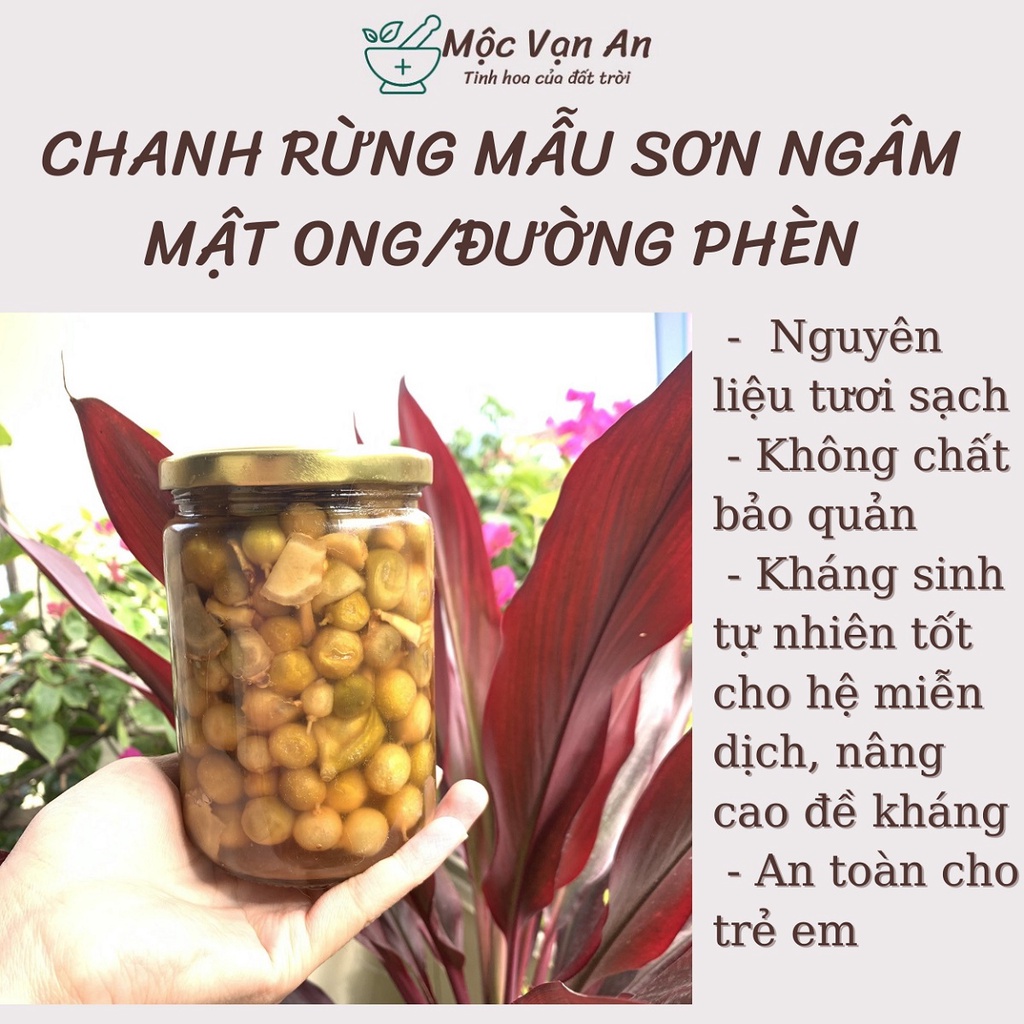 Chanh rừng Mẫu Sơn ngâm mật ong và đường phèn hạ thổ 6 tháng lọ 500gr - Đặc sản Lạng Sơn