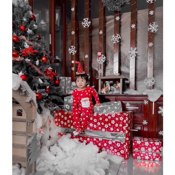 Bộ ngủ dài tay thu đông hoạ tiết noel CArTers