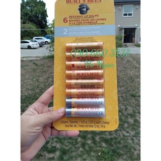 Son dưỡng môi chống khô môi Burt’s Bees