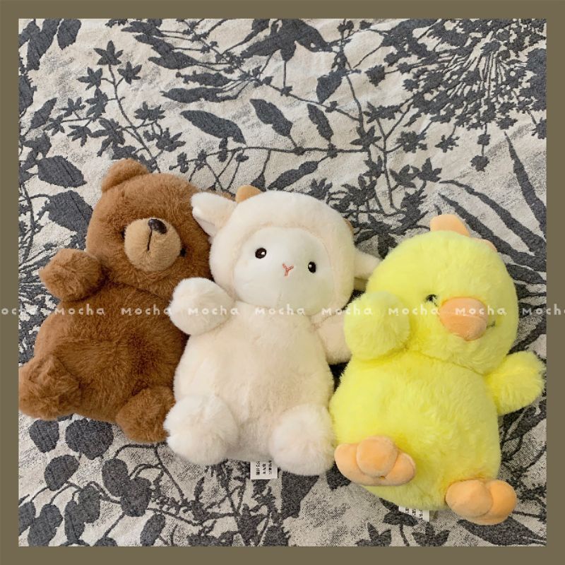 Gấu bông cừu, gấu cute