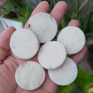 Đế frag gắn san hô