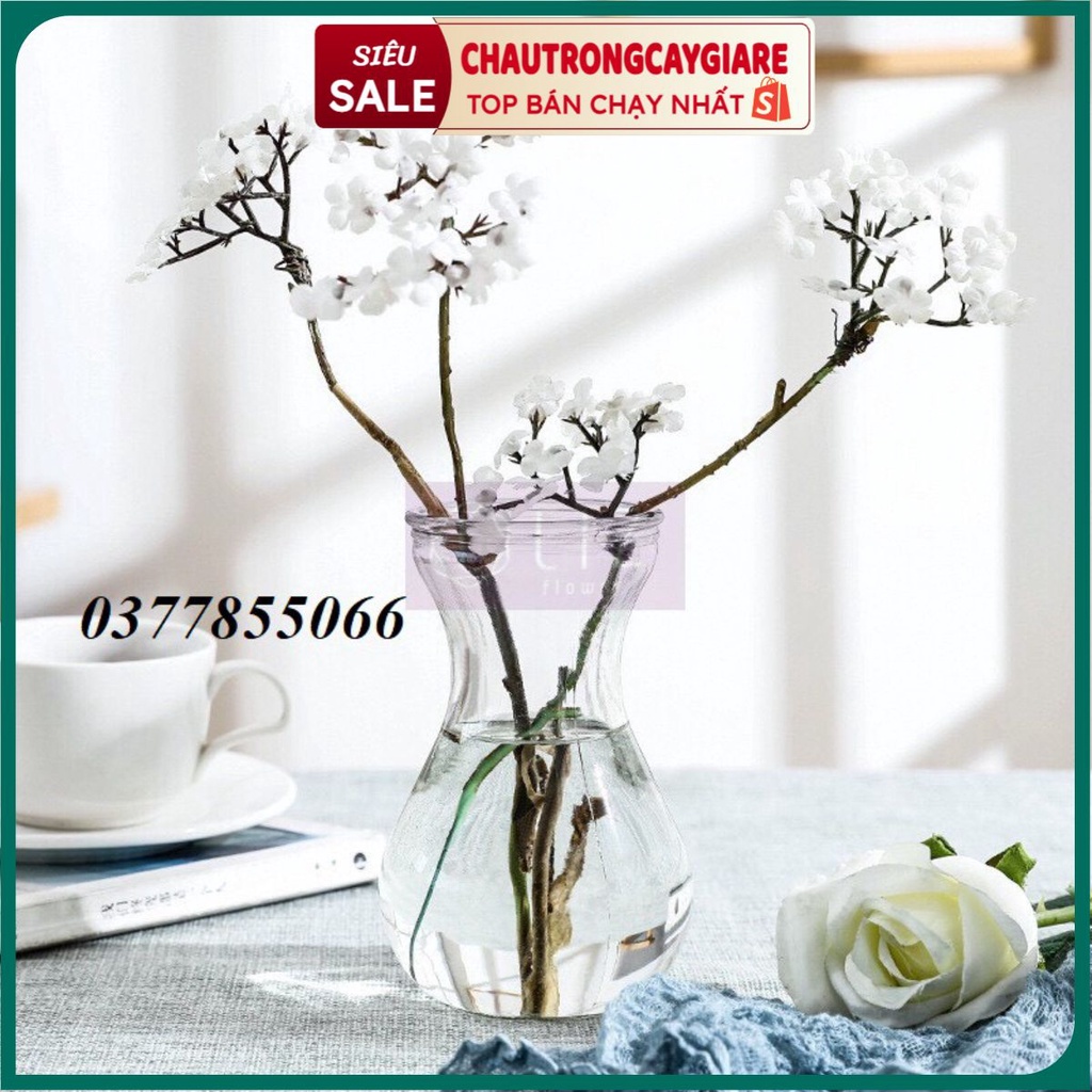 Lọ thủy tinh cắm hoa, trồng cây thủy sinh để bàn làm việc, thiết kế thắt eo sáng tạo cao 14cm, rộng 6cm