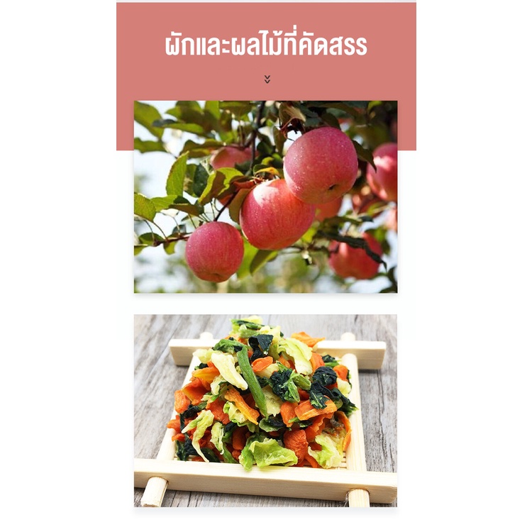Túi snacks rau củ quả MASTI LI0457 cao cấp cho thỏ