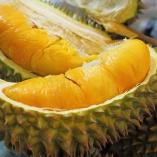 cây sầu riêng thái hạt lép