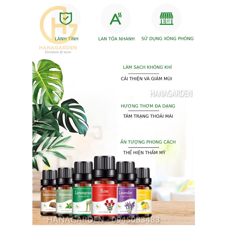 Tinh dầu Chuông gió màu xanh  Thiên Nhiên Nguyên Chất Cao Cấp