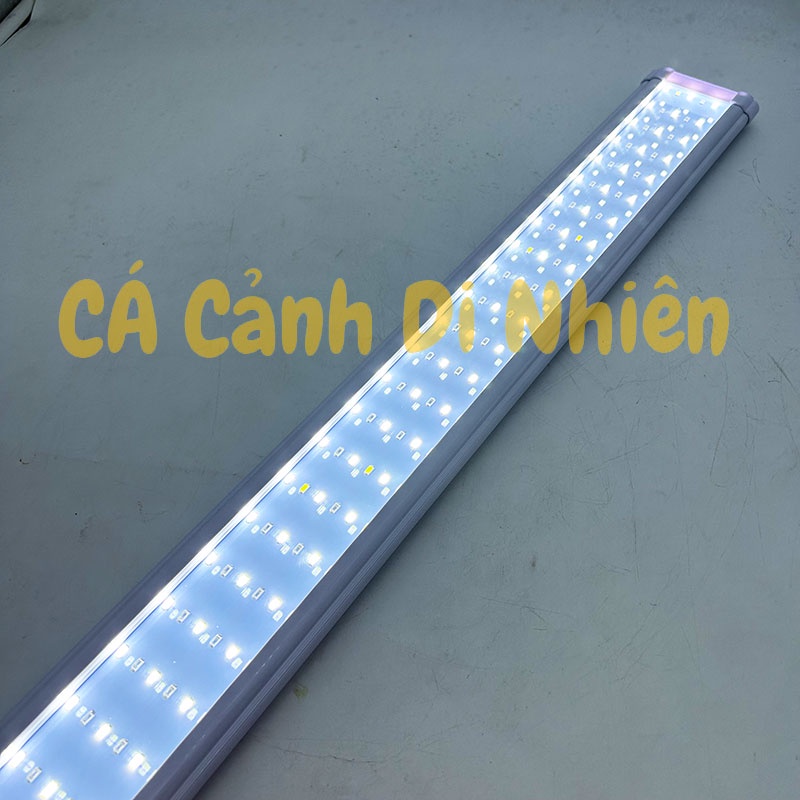 Đèn LED máng kẹp thành hồ cá 6 dãy đèn ĐỔI MÀU WRGB KK-6D-120 cho hồ 120-135 cm KK 6D 120