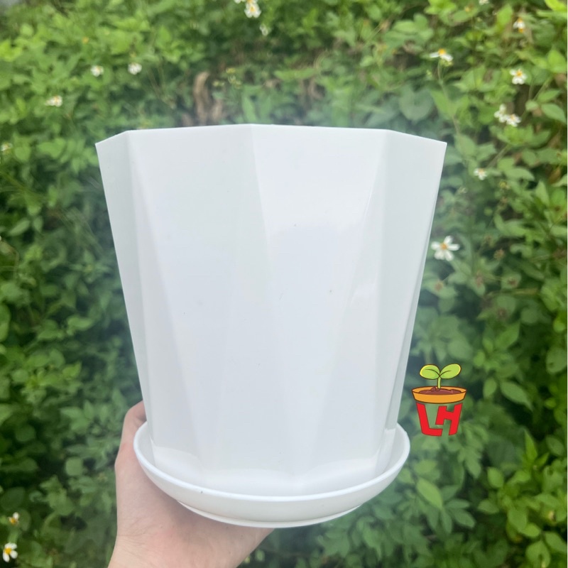 Chậu nhựa trồng cây (Chậu kim cương đk 180 + dĩa lót)