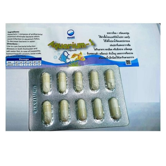 Viên nhộng AQUARIUM-1 Thái Lan chuyên xử lý tép, cá chết lai rai-PRANEE AQUARIUM 1-phụ kiện tép cảnh-thủy sinh - shopleo