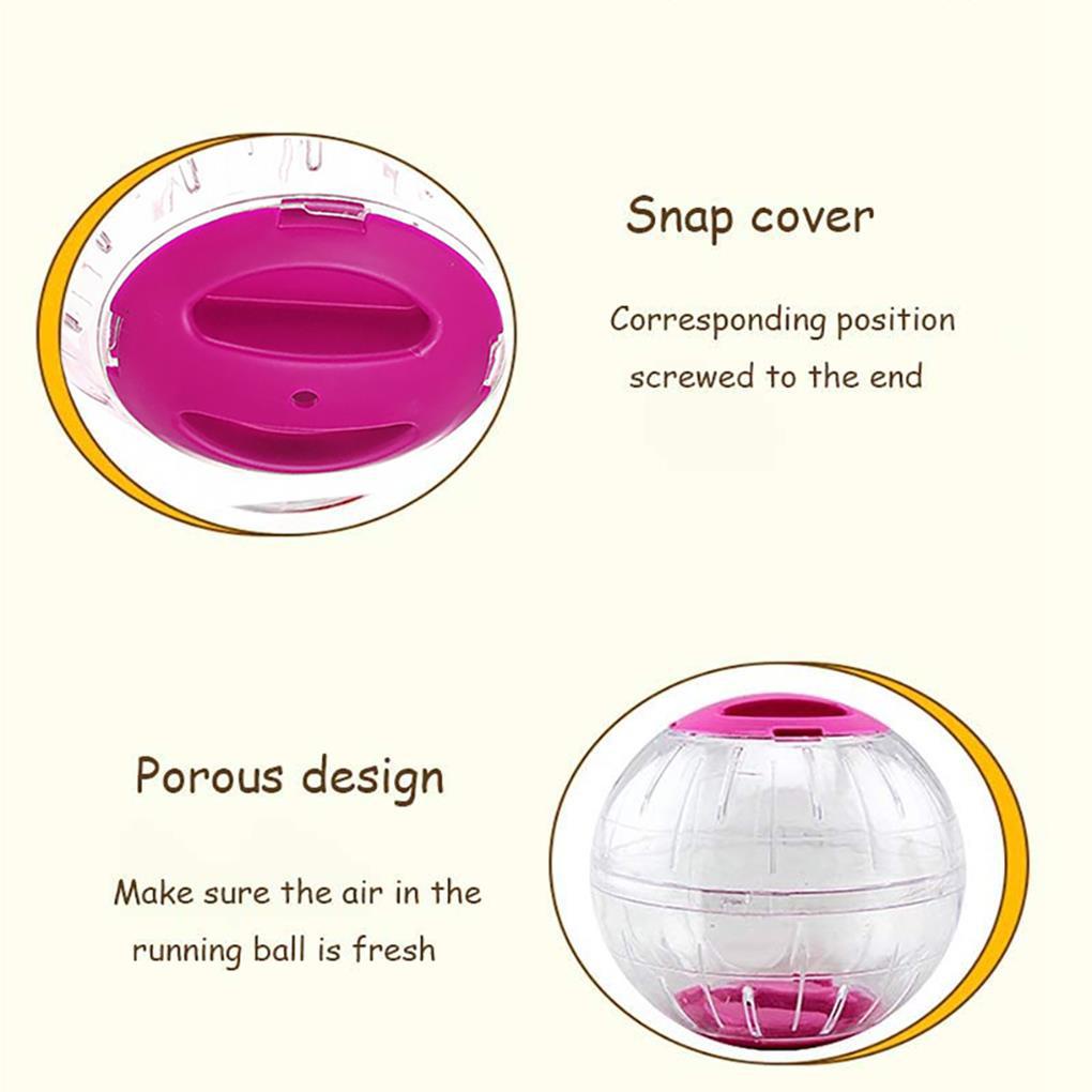 Cửa Hàng Đồ Chơi Bóng Chạy Bộ Bằng Nhựa Trong Suốt Trọng Lượng Nhẹ Tiện Lợi Dành Cho Thú Cưng