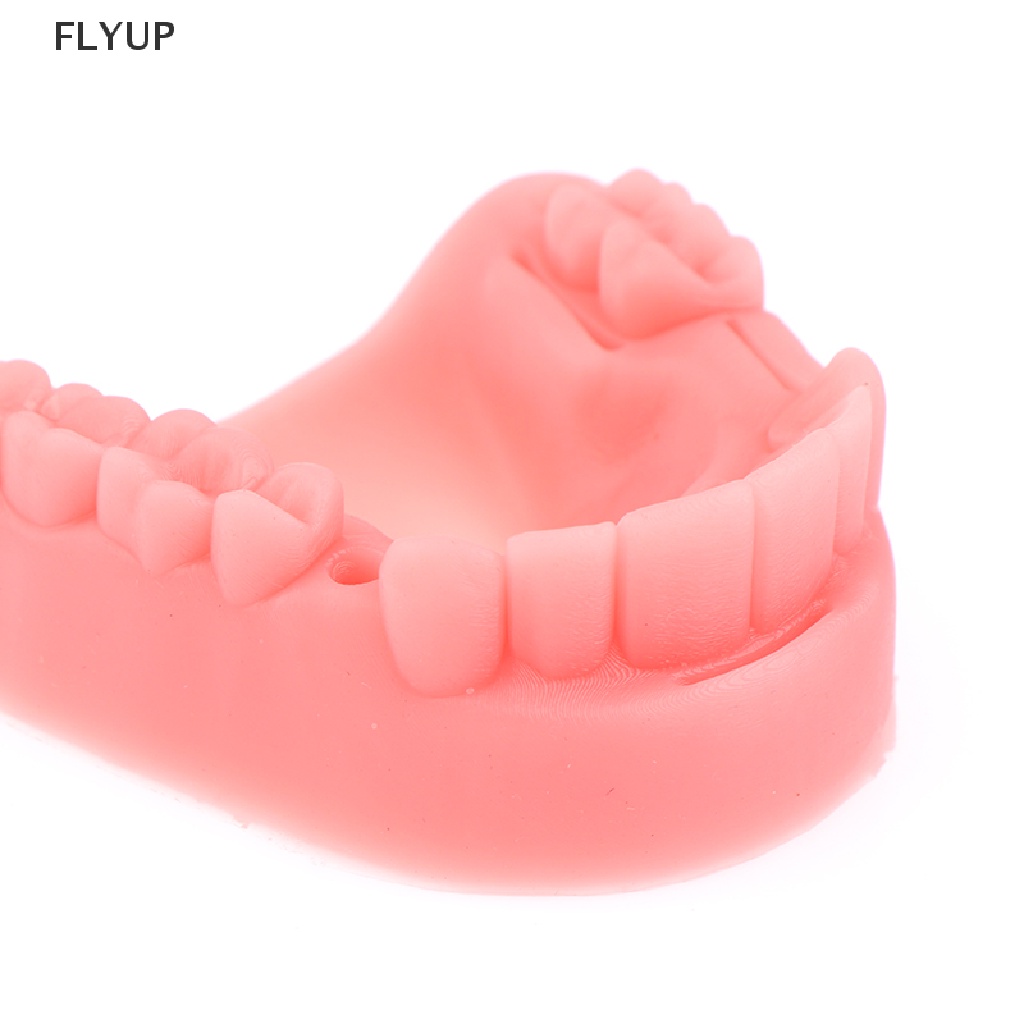 Set 4 Mô Hình Hàm Răng Giả Hỗ Trợ Dạy Học