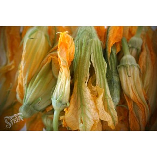 1Gr Hạt Giống Bí Siêu Nụ