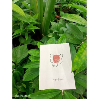 sổ mini cute
