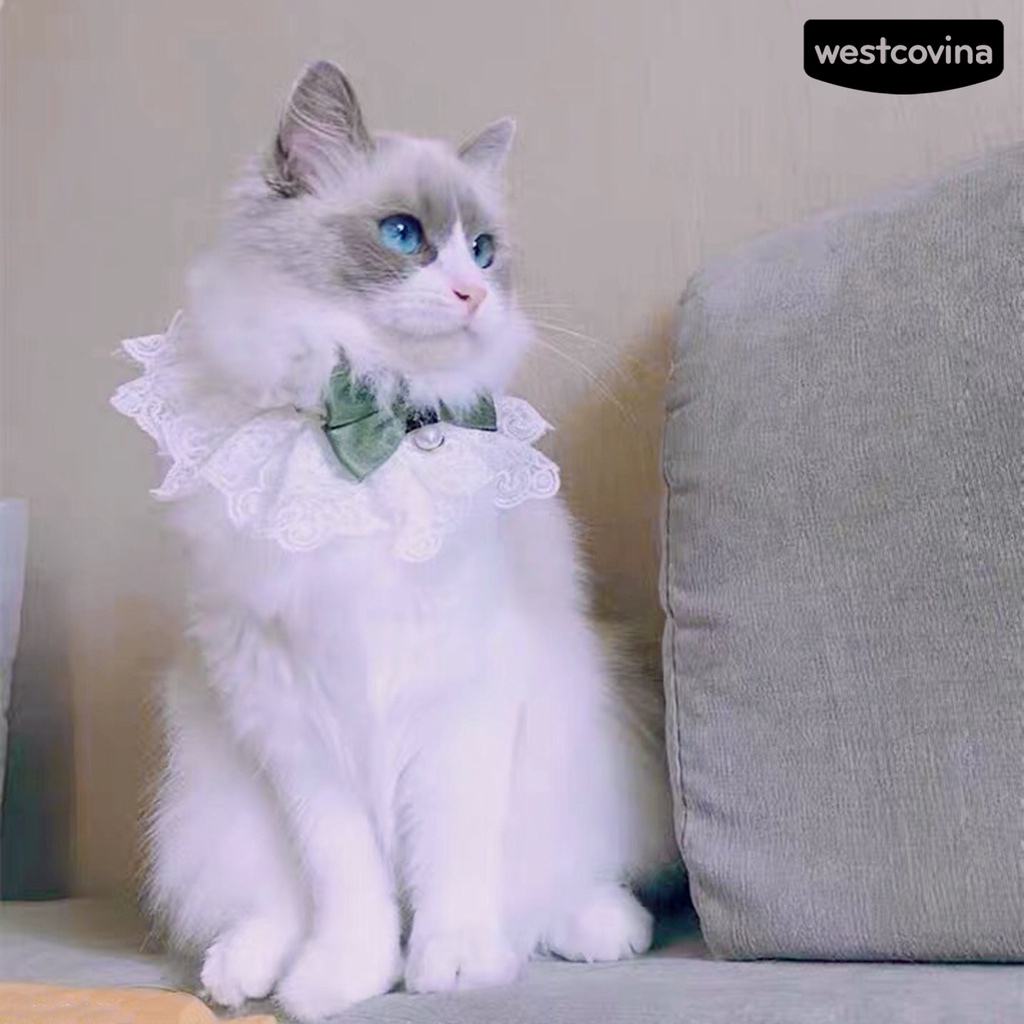 [COD]♘Vòng Cổ Có Chuông Dễ Thương Quyến Rũ Dành Cho Thú Cưng