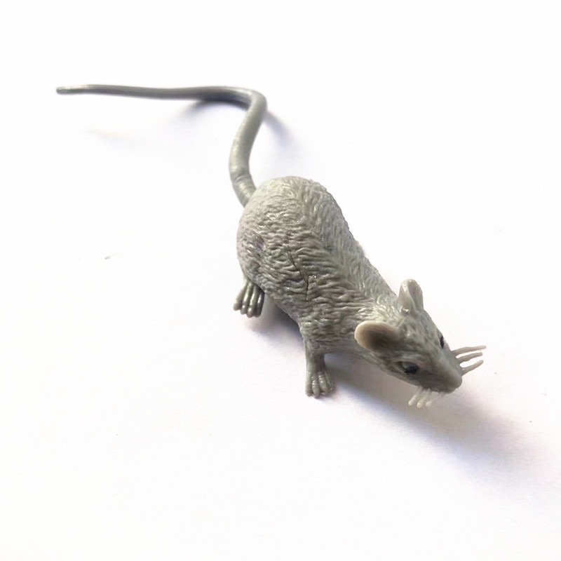 Mô hình con chuột giả thiết kế trông như thật thích hợp để hù mấy bạn bánh bèo
