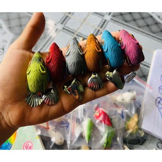 Nhái hơi chuột thái lan