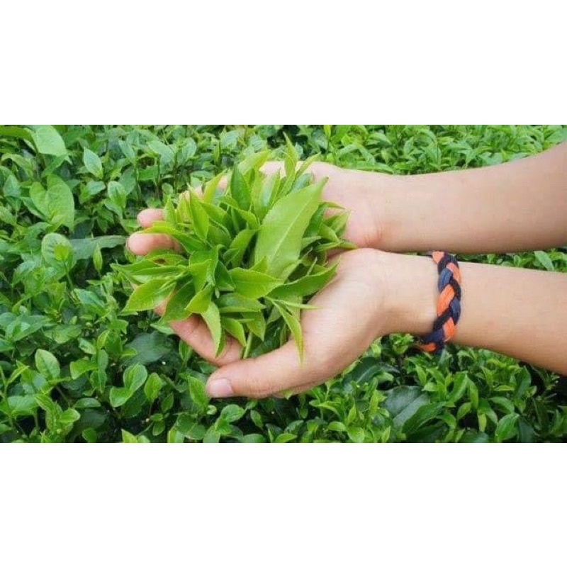 Viên Uống Bột Trà Xanh Giảm Cân Kelly Bùi, An Toàn Từ Thiên Nhiên 180 Viên