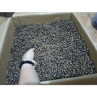 Hạt rẻ rừng 1kg