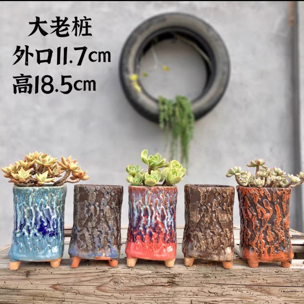 Tặng Kèm - Chậu gốc cây 6 màu sắc mới lạ trồng sen đá, xương rồng. Kích thước cao 15 x miệng 10cm