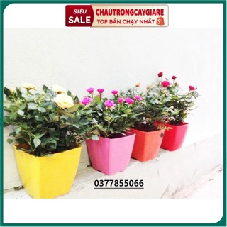 Chậu trồng cây hình vuông bằng nhựa PP dẻo, đàn hồi cao, chịu nắng mưa tốt, kích thước đa dạng, hàng đẹp loại dày 0.3 cm